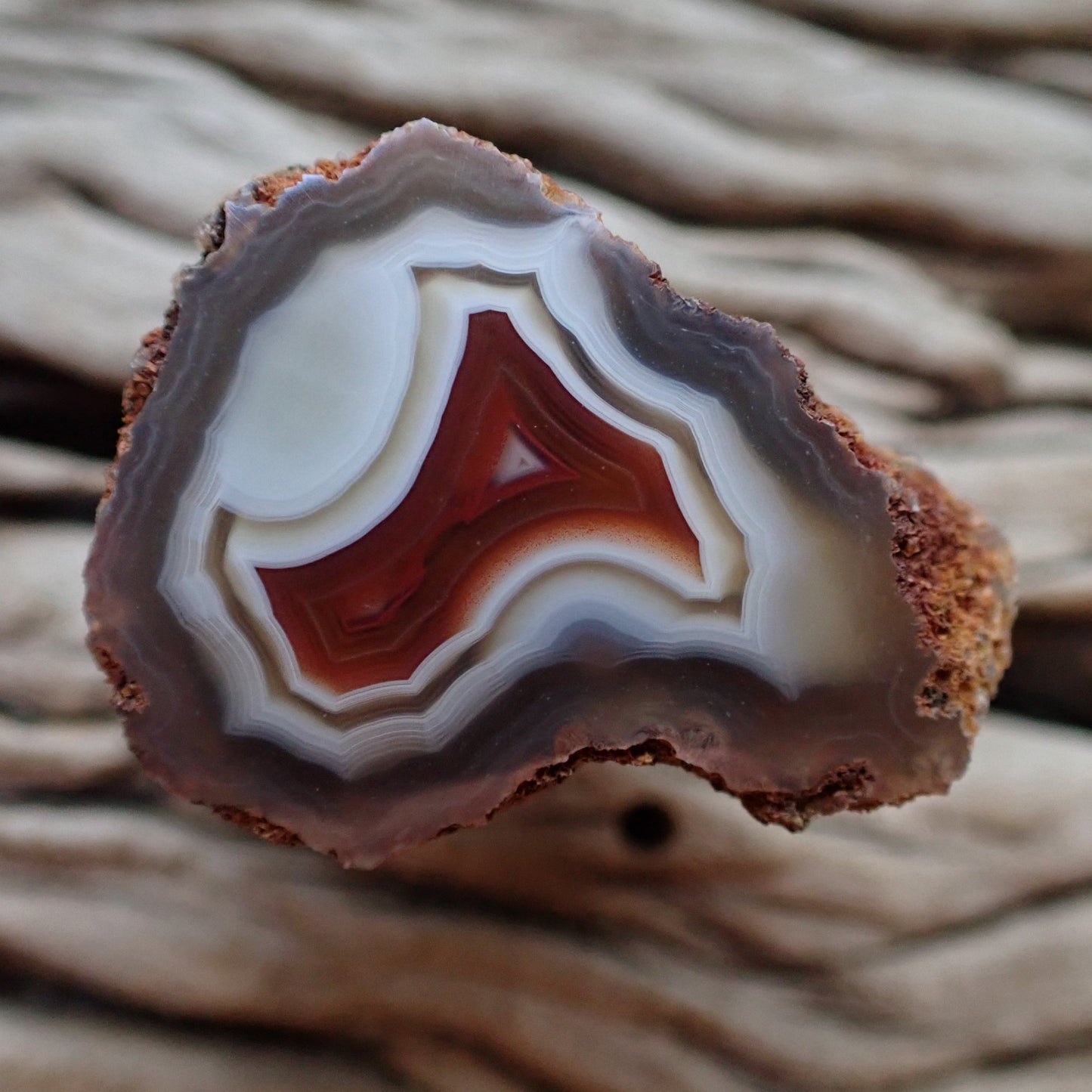 Natural hand-polished Malawi agate 34 mm – full face, inverse colour centre, scalloped banding, ghost banding | SKU 000498