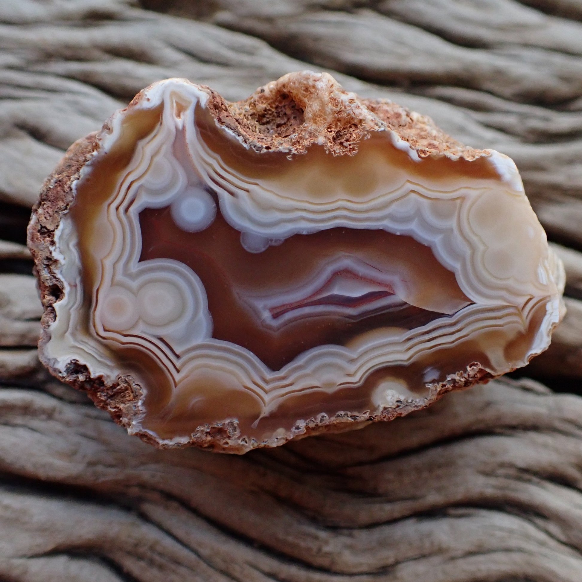 Natural hand-polished Malawi agate 52 mm – full face, multiple eyes, flow channel, fortification banding | SKU 000499