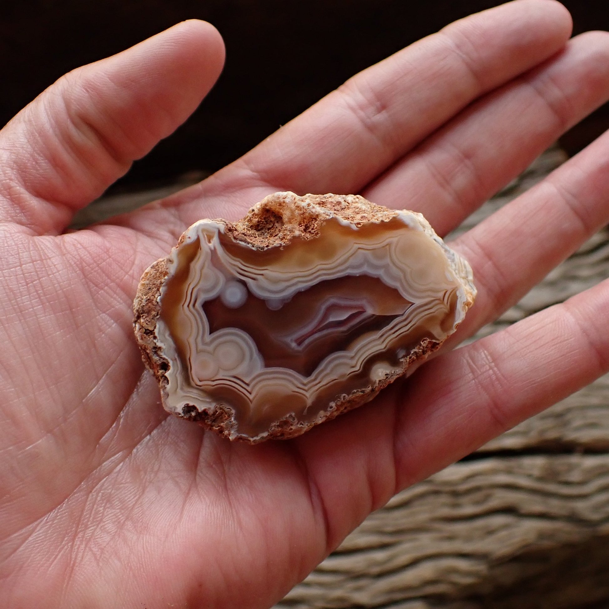 Natural hand-polished Malawi agate 52 mm – in-hand size reference, eyes, flow channel, fortification banding | SKU 000499