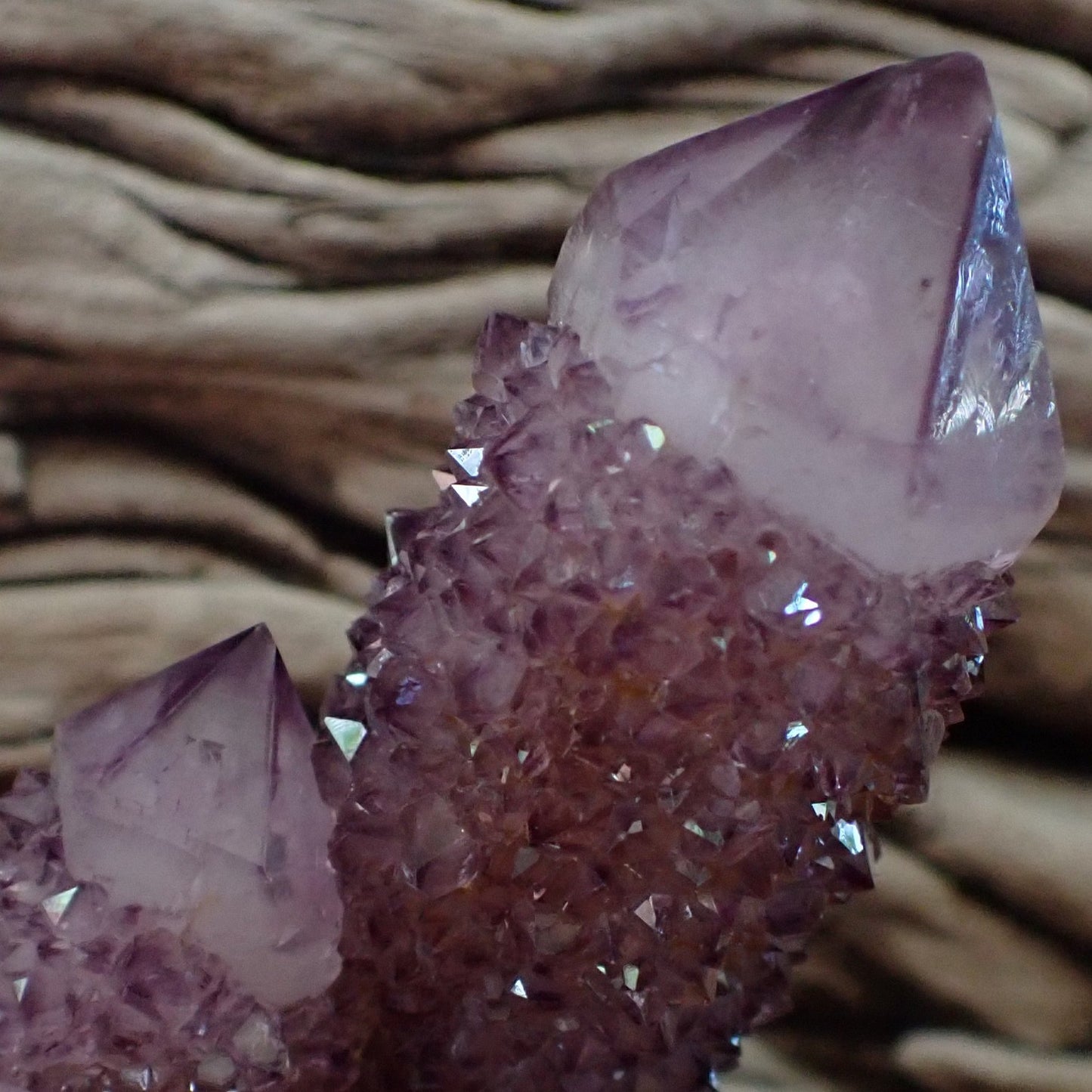 Front view amethyst Cactus Quartz Spirit Quartz cluster 69mm – multi-point formation, full drusy coverage, dark amethyst purple | SKU OM00003