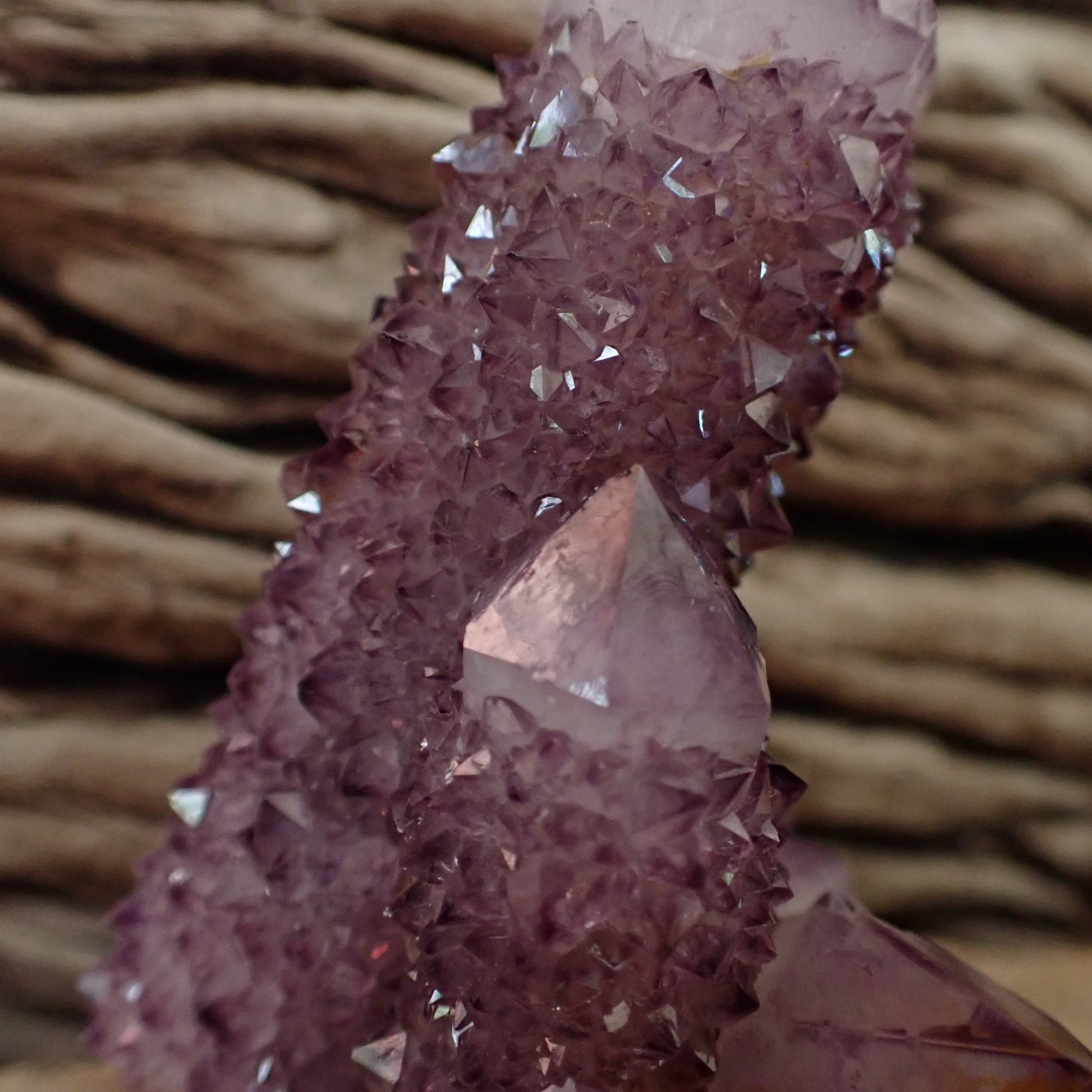 Close-up amethyst Cactus Quartz Spirit Quartz cluster 69mm – drusy second-generation crystal coverage, well-defined terminations | SKU OM00003