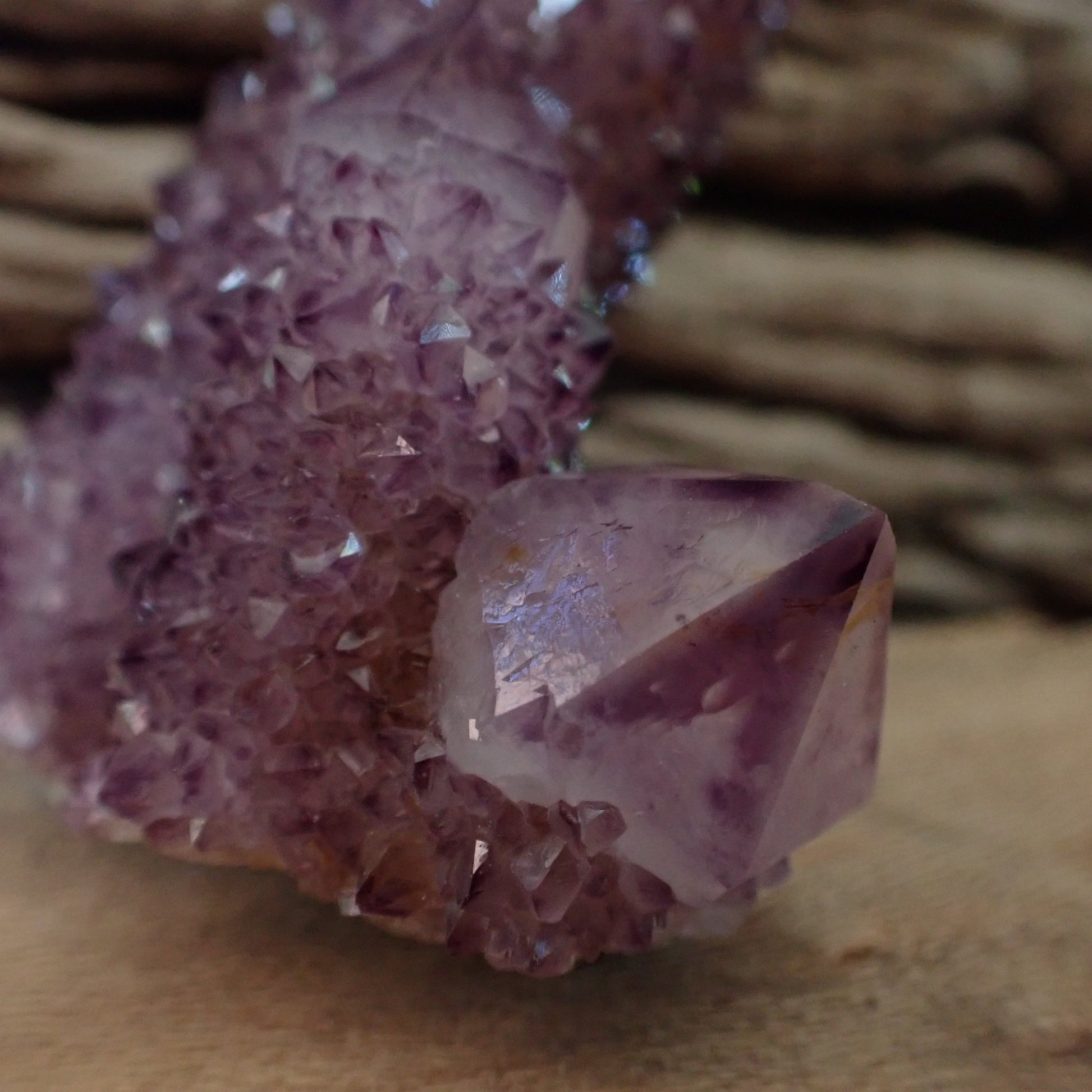 Close-up amethyst Cactus Quartz Spirit Quartz cluster 69mm – secondary base crystal face, broad termination, drusy surround | SKU OM00003