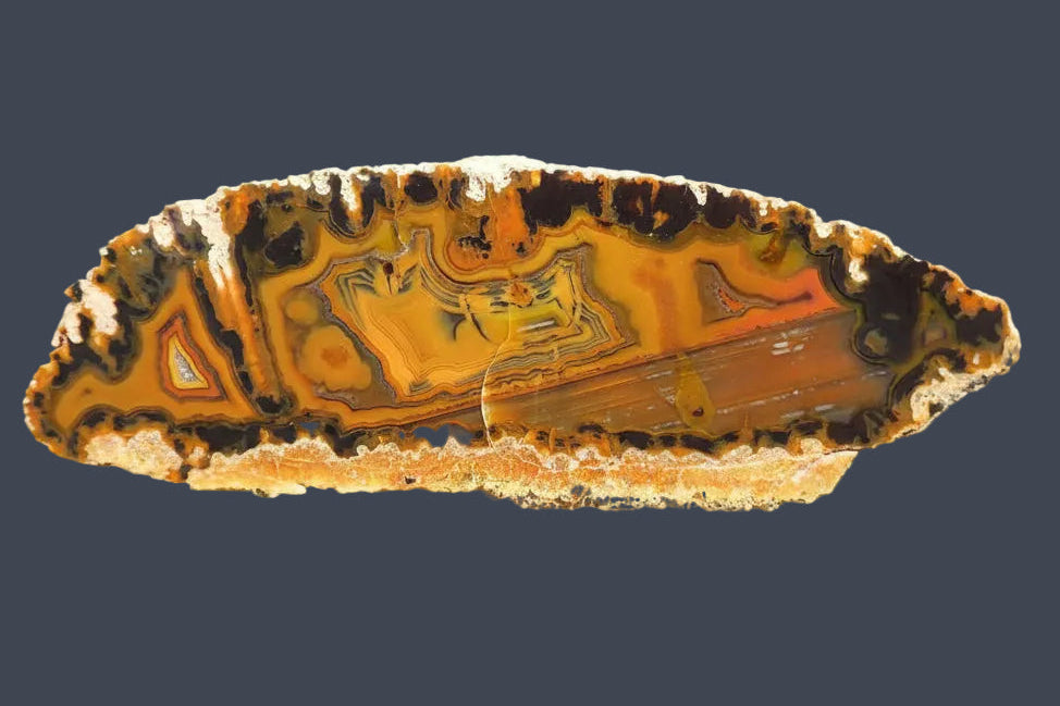 Lilangabi agate 117mm – face view, multi-chambered structure, fortification banding, waterlines, scalloped band edges, sard-orange palette | SKU LIL00013