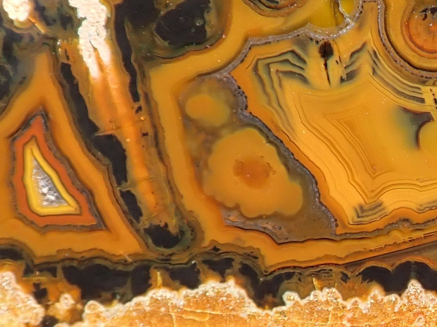 Lilangabi agate 117mm – close-up, fortification banding detail, waterlines, sard-orange and brown-black contrast | SKU LIL00013