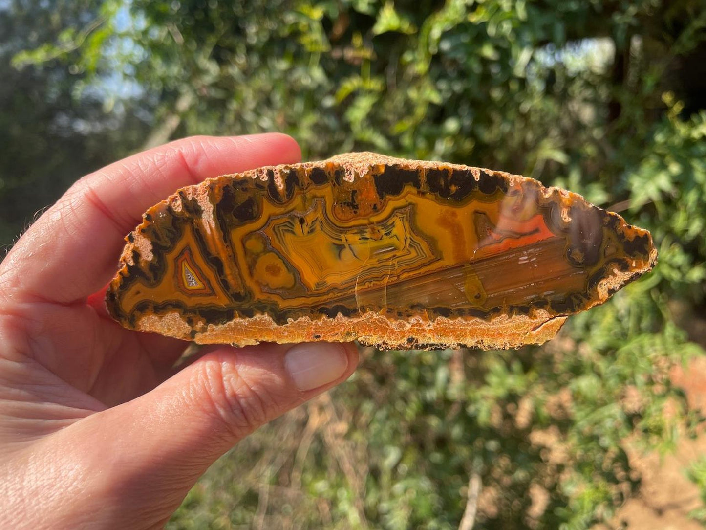 In-hand Lilangabi agate 117mm – full face, multi-chambered structure, waterlines, scalloped banding | SKU LIL00013