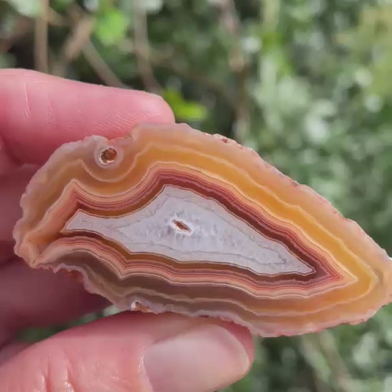 Arrowhead Malawi agate 56 mm – video, scalloped banding, carnelian-red and amber bands with blue-grey chalcedony centre, open vug, hand-polished in South Africa | SKU 000490
