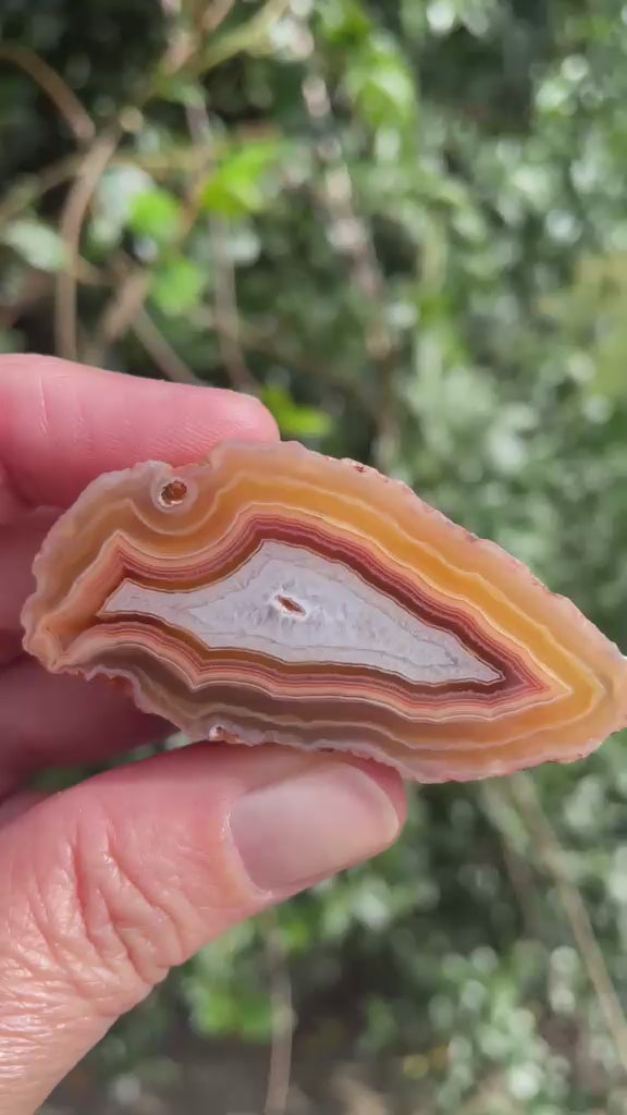 Arrowhead Malawi agate 56 mm – video, scalloped banding, carnelian-red and amber bands with blue-grey chalcedony centre, open vug, hand-polished in South Africa | SKU 000490