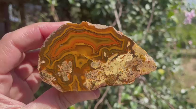 Lilangabi agate 85 mm – rotating view, fortification banding, deep amber and burnt orange