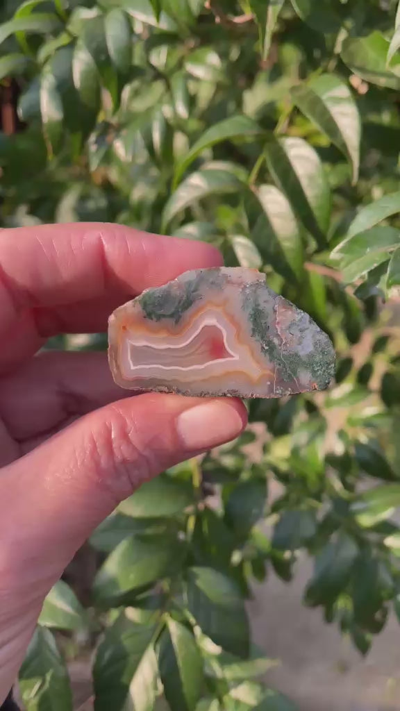 Moss inclusion Malawi agate 48 mm – 360° video, teal-green moss inclusions, scalloped banding and sard-red inner zone, natural light | SKU 000369