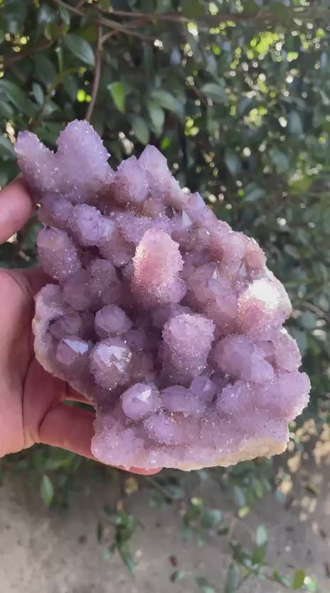 Amethyst Cactus Quartz Spirit Quartz cluster 160x120x60mm – full cluster view in both shade and sun. True amethyst-purple colouration and flat matrix base visible, Boekenhouthoek South Africa | SKU OM00002