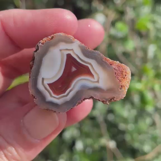 Natural hand-polished Malawi agate 34 mm – rotating view, scalloped banding, ghost banding | SKU 000498