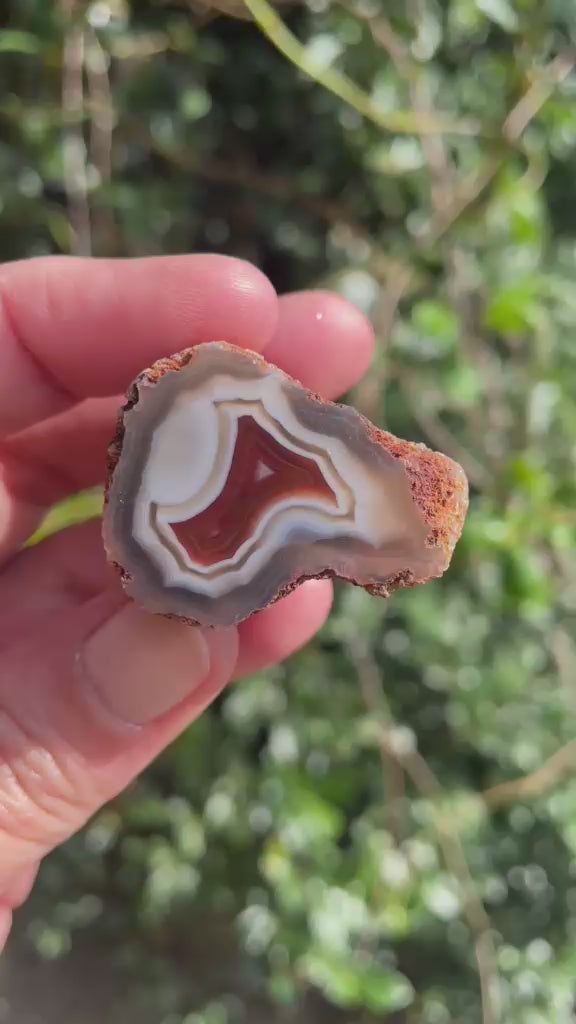 Natural hand-polished Malawi agate 34 mm – rotating view, scalloped banding, ghost banding | SKU 000498