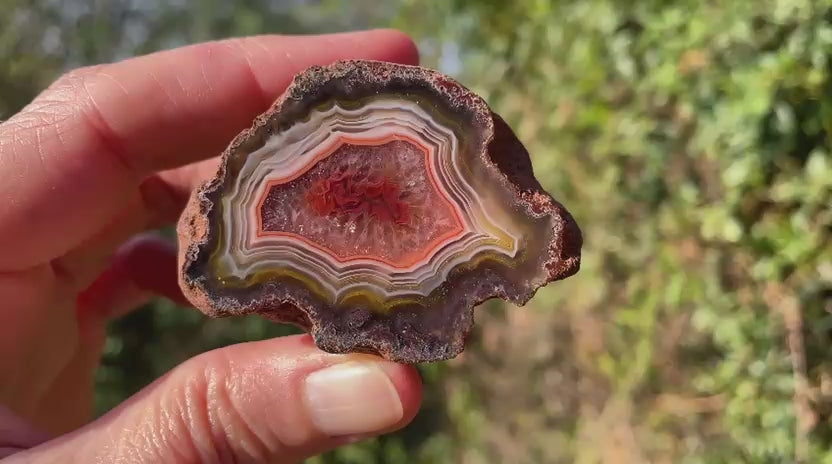 Malawi agate 55 mm – rotating view, parallax, floater, ghost banding, scalloped banding
