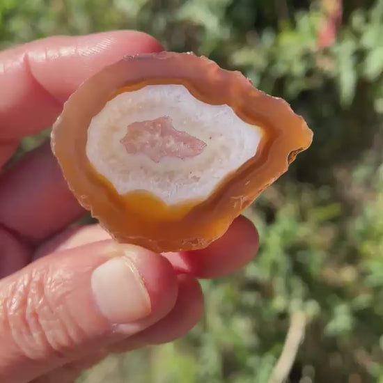 carnelian-orange Malawi agate 43 mm – video, druzy quartz inner zone, secondary inner zone, fortification banding, scalloped band edges, natural sunlight | SKU 000372