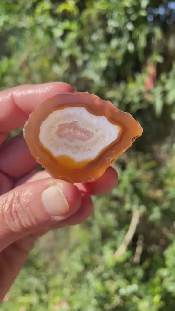 carnelian-orange Malawi agate 43 mm – video, druzy quartz inner zone, secondary inner zone, fortification banding, scalloped band edges, natural sunlight | SKU 000372