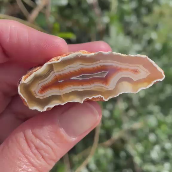 Elongated Malawi agate 53 mm – rotating view, scalloped banding, ghost banding, carnelian-red mid-zone | SKU 000491