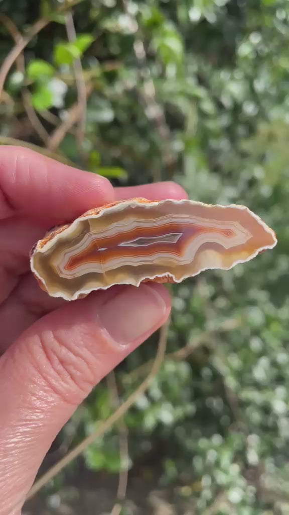 Elongated Malawi agate 53 mm – rotating view, scalloped banding, ghost banding, carnelian-red mid-zone | SKU 000491
