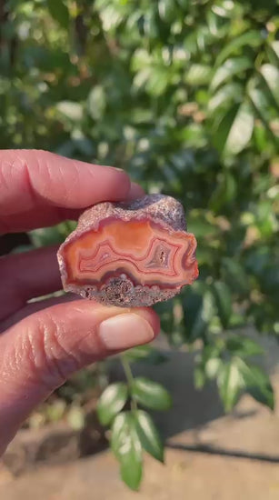 Natural hand-polished Malawi agate 35 mm – video, vivid sard-carnelian banding with fortification pattern and rough rind, direct-sourced Ngabu deposit | SKU 000359