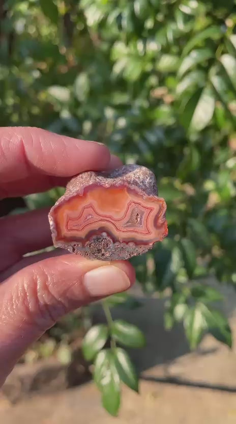 Natural hand-polished Malawi agate 35 mm – video, vivid sard-carnelian banding with fortification pattern and rough rind, direct-sourced Ngabu deposit | SKU 000359