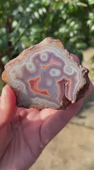 Multiple eyes Malawi agate 62mm – rotating view, 5+ eye formations, starburst sard-red floater, flow channel, fine mineral spotting | SKU 000356