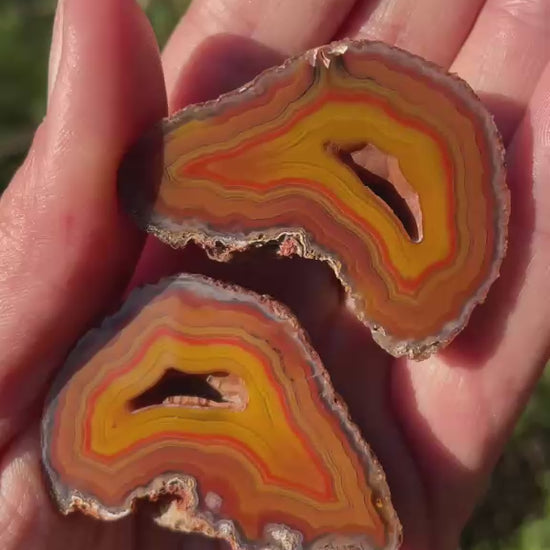 sard-carnelian Malawi agate matched pair 46 mm – video, mirrored fortification banding, vug ×2, druzy, blue-grey chalcedony border, natural sunlight | SKU 000382