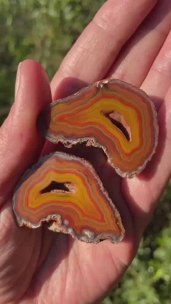 sard-carnelian Malawi agate matched pair 46 mm – video, mirrored fortification banding, vug ×2, druzy, blue-grey chalcedony border, natural sunlight | SKU 000382