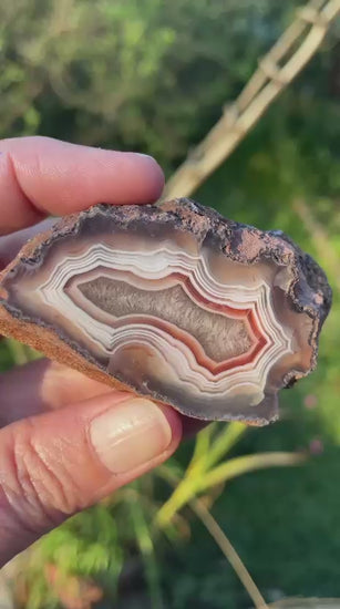 video of Malawi agate 67 mm – tight fortification banding detail, sard-carnelian accent band, scalloped inner band edges and parallax effect | SKU 000330