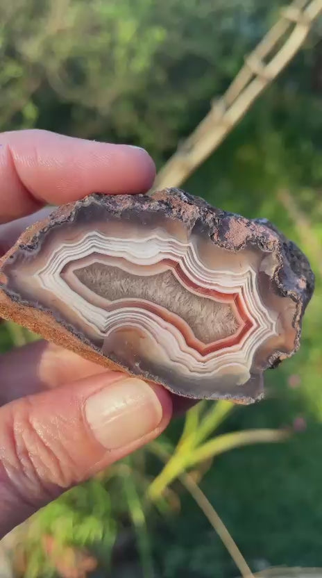 video of Malawi agate 67 mm – tight fortification banding detail, sard-carnelian accent band, scalloped inner band edges and parallax effect | SKU 000330