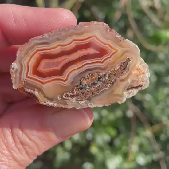 Polished Malawi agate 44 mm – rotating view, fortification banding, ghost banding, scalloped banding | SKU 000496
