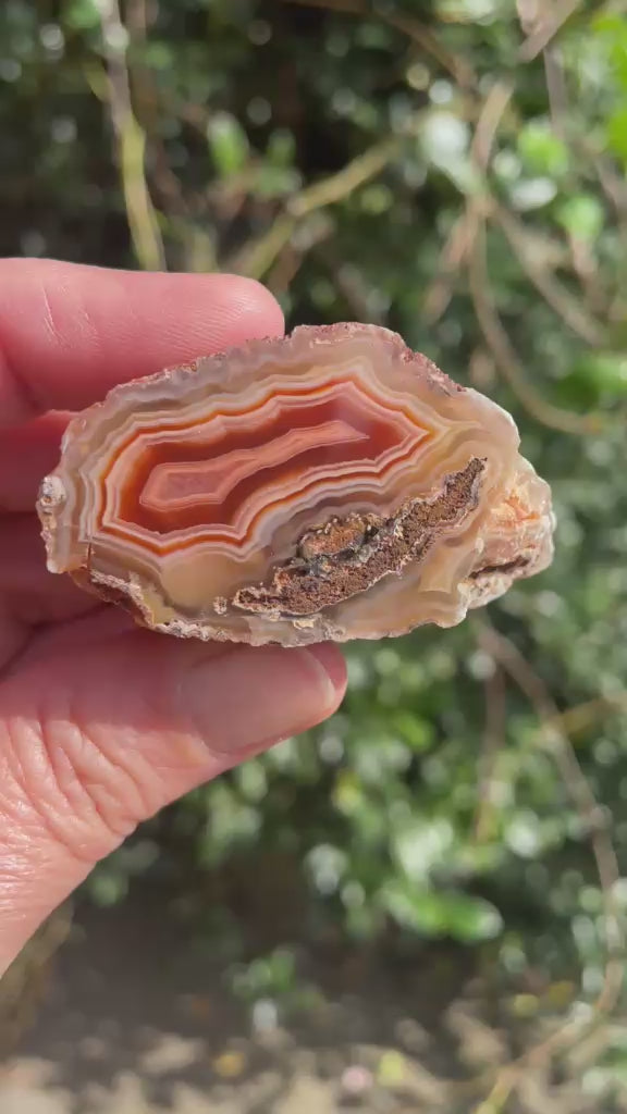 Polished Malawi agate 44 mm – rotating view, fortification banding, ghost banding, scalloped banding | SKU 000496