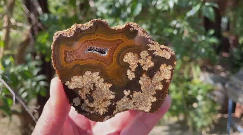 Lilangabi agate 79 mm – rotating view, dendritic inclusions, fortification banding, druzy vug