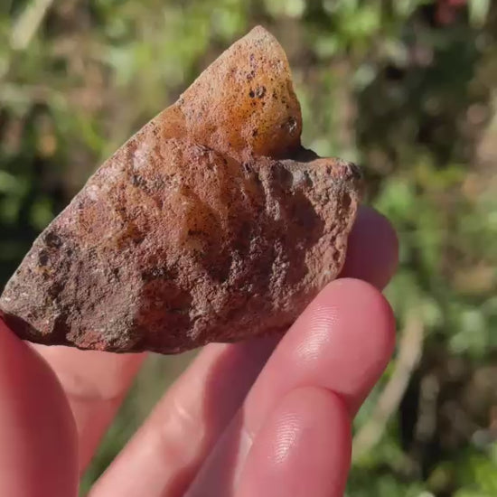 amber Malawi agate 49 mm – video, eye-form fortification banding, sard-carnelian contrast, ghost banding, crystalline centre, natural sunlight | SKU 000378