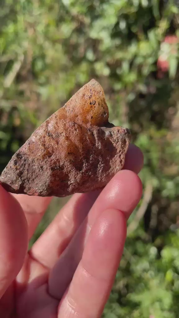 amber Malawi agate 49 mm – video, eye-form fortification banding, sard-carnelian contrast, ghost banding, crystalline centre, natural sunlight | SKU 000378