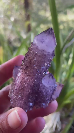 Amethyst Cactus Quartz Spirit Quartz cluster 69mm – all angles, multi-point formation, dense drusy coverage, dark amethyst purple, Boekenhouthoek, South Africa | SKU OM00003


