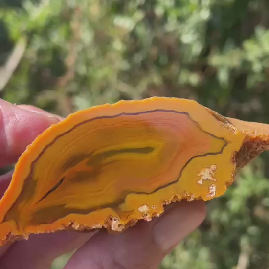 Lilangabi agate 69 mm – video, scalloped banding, shadow banding, amber and golden yellow palette, Eswatini | SKU LIL00034