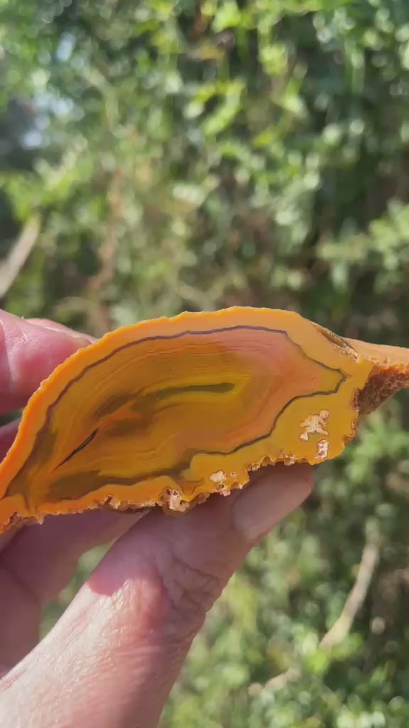 Lilangabi agate 69 mm – video, scalloped banding, shadow banding, amber and golden yellow palette, Eswatini | SKU LIL00034