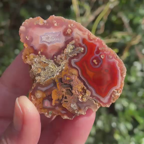 Multi-chamber Malawi agate 58 mm – rotating view, multi-chamber face, eye, hematoid inclusions, scalloped banding | SKU 000493