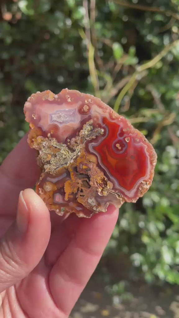 Multi-chamber Malawi agate 58 mm – rotating view, multi-chamber face, eye, hematoid inclusions, scalloped banding | SKU 000493