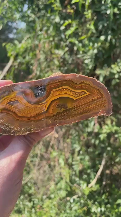 Lilangabi agate 117 mm – video, scalloped banding, amber-golden palette, Eswatini | SKU LIL00024