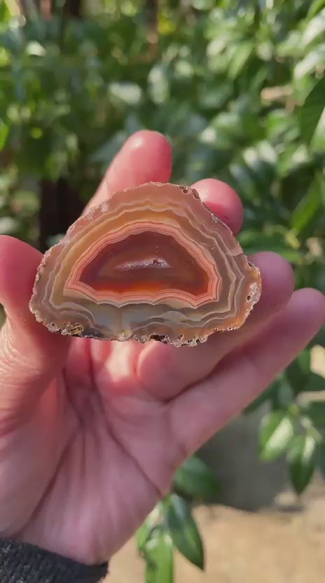 Video of Malawi agate 47 mm – dome-shaped banding, scalloped inner edges, sard-red to deep burgundy inner zone, Ngabu deposit | SKU 000366