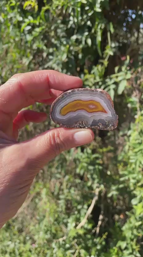 golden-amber Malawi agate 51 mm – video, parallax, ghost banding, fortification banding, natural inclusion, natural sunlight | SKU 000371


