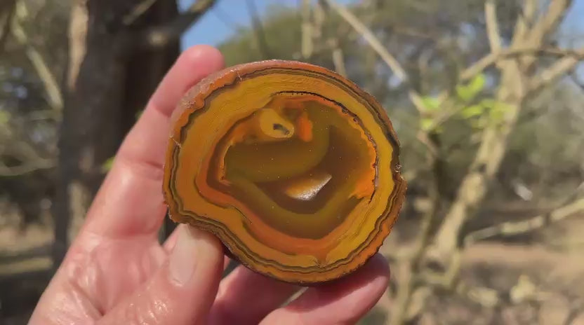 Lilangabi agate 56 mm – rotating view, pareidolia & chromatography