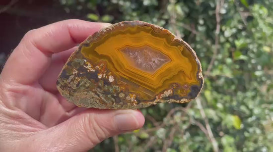  Lilangabi agate 82 mm – rotating view, fortification banding, waterlines, dendritic inclusions
