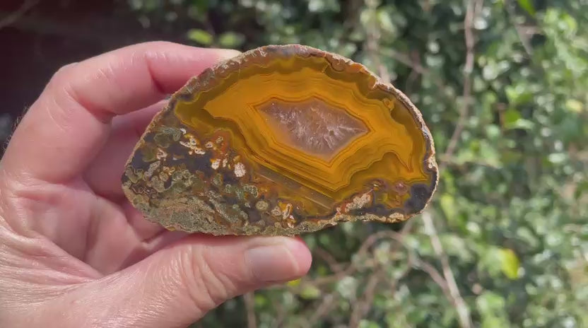  Lilangabi agate 82 mm – rotating view, fortification banding, waterlines, dendritic inclusions