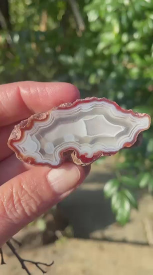 Scalloped ghost banding Malawi agate 58mm – rotating view, scalloped ghost banding, circular chalcedony forms, sard-red zone | SKU 000358