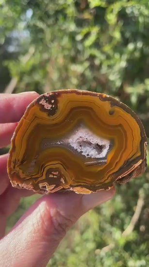 Lilangabi agate 58 mm – video, druzy vug, multi-chambered structure, scalloped banding, amber and golden yellow palette, Eswatini | SKU LIL00035