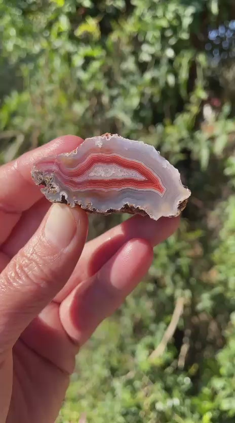 sard-red Malawi agate 51 mm – video, flow channel, fine fortification banding, quartz inner zone with calcite deposit, ghost banding, natural sunlight | SKU 000373