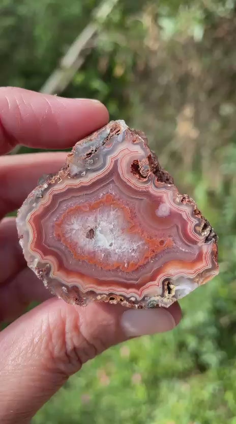 Flow channel eye Malawi agate 50mm – rotating view, flow channel, eye, crazy lace, fortification banding | SKU 000400