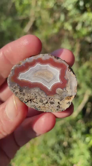 sard-red Malawi agate 38 mm – video, parallax, scalloped fortification banding, calcite centre, blue-grey chalcedony border, Ngabu origin, hand-polished in South Africa | SKU 000383