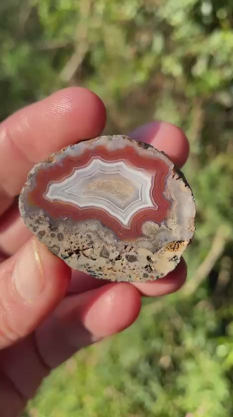 sard-red Malawi agate 38 mm – video, parallax, scalloped fortification banding, calcite centre, blue-grey chalcedony border, Ngabu origin, hand-polished in South Africa | SKU 000383